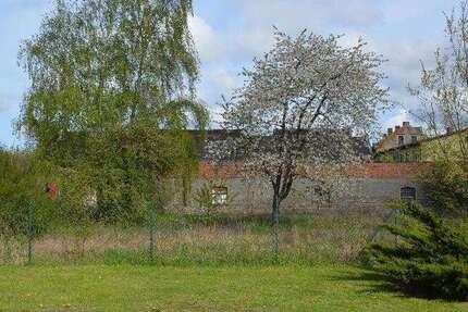 Grundstück zu verkaufen in Maasdorf 20.000 € 1562 m²
