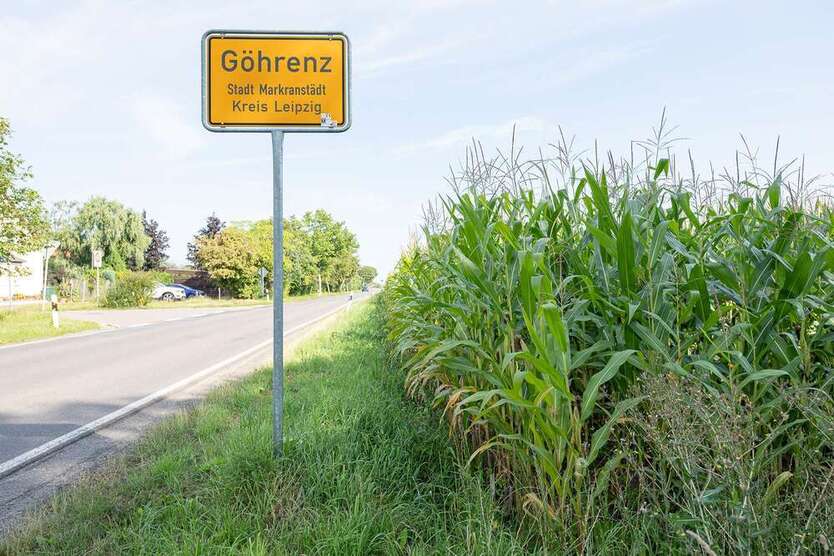 WIR BAUEN FÜR SIE! Seenahes Familienglück in der Lindenallee