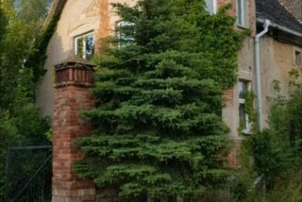 Haus Wettin-Löbejün Löbejün - 29.000&euro; | Angebot:24585661