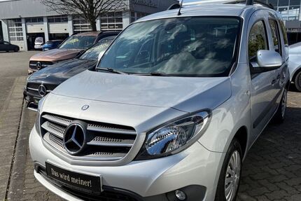 Mercedes-Benz Citan 104.962 km 13.999 &euro; Bitterfeld 06749