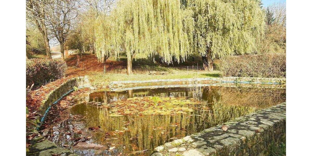 Einfamilienhaus Seegebiet Mansfelder Land Hornburg - 4 Zimmer, 115 m&sup2;, 1.100&euro; | Angebot:26867191