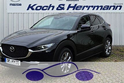 Mazda CX-30 6.936 km 30.490 € Köthen 06366