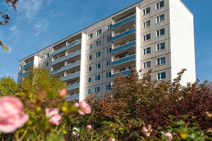 Wohnung zum Mieten in Halle (Saale) 305 € 54.5 m² 3 zimmer