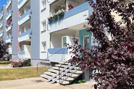 Wohnung zum Mieten in Halle 318 € 50 m²