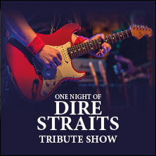 One Night of Dire Straits - Tribute Show 20.02.2026 Steintor Variete Halle