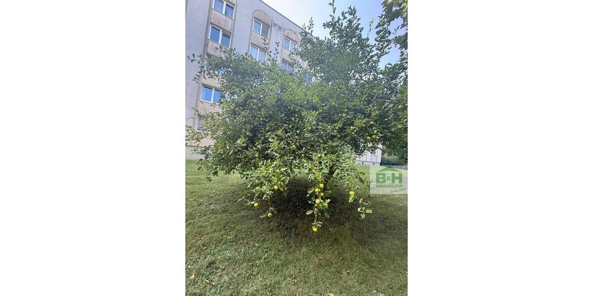 Etagenwohnung Sandersdorf-Brehna Brehna - 2 Zimmer, 48 m&sup2;, 344&euro; | Angebot:23794294