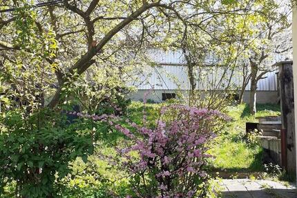 Haus Mücheln (Geiseltal) - 6 Zimmer, 110 m&sup2;, 84.000&euro; | Angebot:26571106