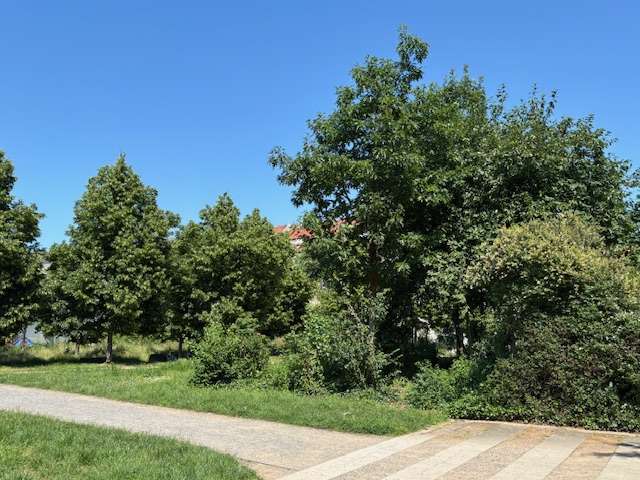 Wohnung zum Kaufen in Leipzig 190.000 € 57.05 m²