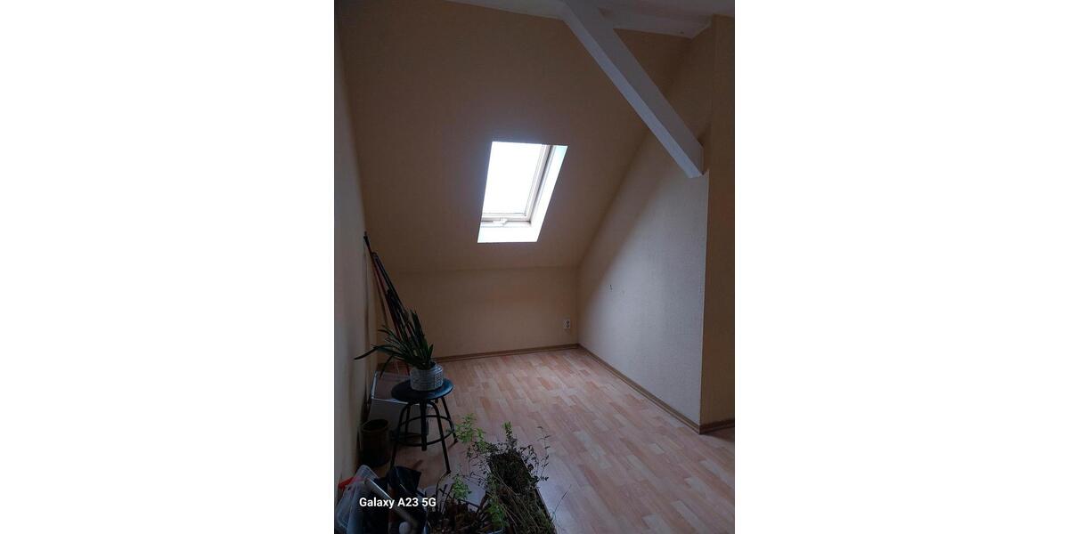 Dachgeschoßwohnung Halle (Saale) Dölau - 1 Zimmer, 65 m&sup2;, 650&euro; | Angebot:26441634