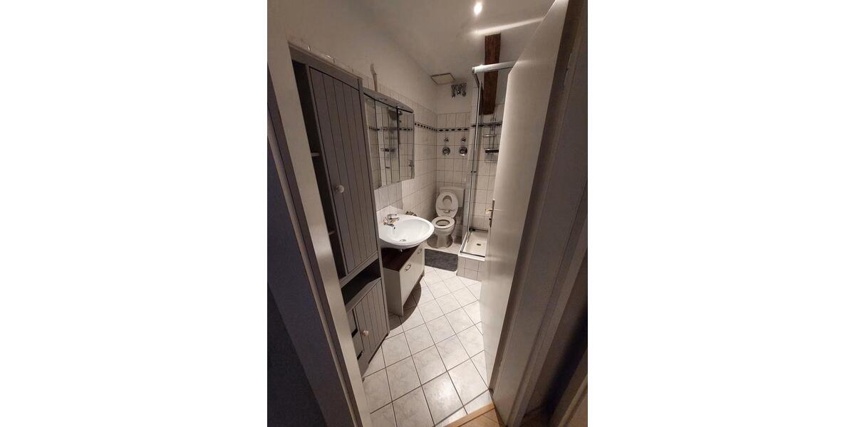 Dachgeschoßwohnung Halle (Saale) - 4 Zimmer, 87 m&sup2;, 1.250&euro; | Angebot:26383901