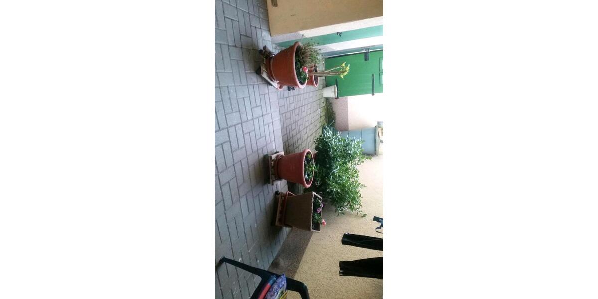 Reihenhaus Südliches Anhalt - 3 Zimmer, 65 m&sup2;, 50.000&euro; | Angebot:24685491