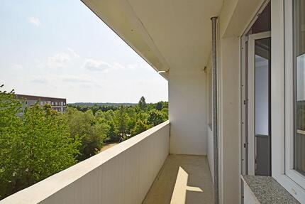 ... und die Heide in der Nähe 3 zimmer