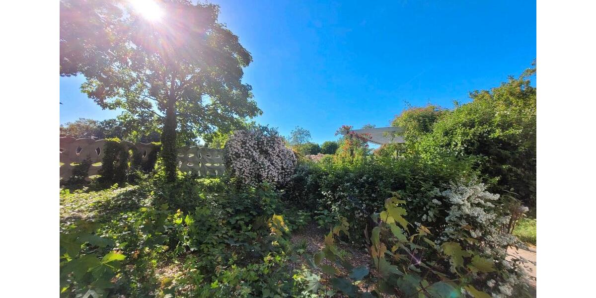 Etagenwohnung Halle (Saale) Gesundbrunnen - 3 Zimmer, 59 m&sup2;, 99.200&euro; | Angebot:26824888