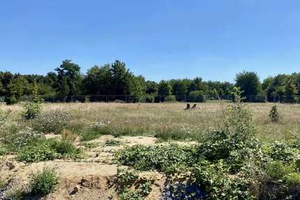 Grundstück Bitterfeld-Wolfen Wolfen - 78.000&euro; | Angebot:27252906